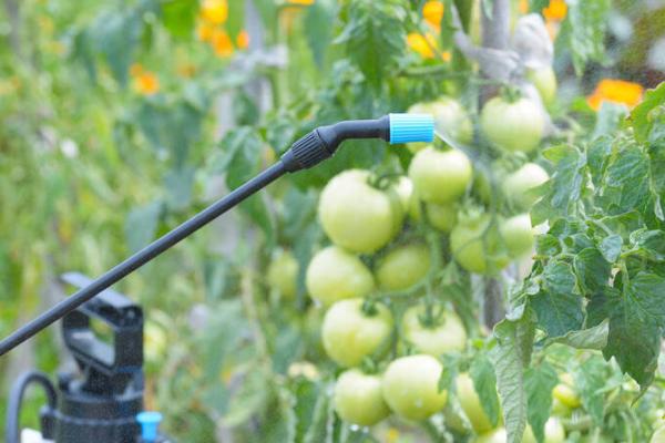 促根剂的使用方法,要根据使用说明来应用