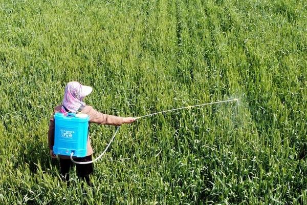 促根剂的使用方法,要根据使用说明来应用