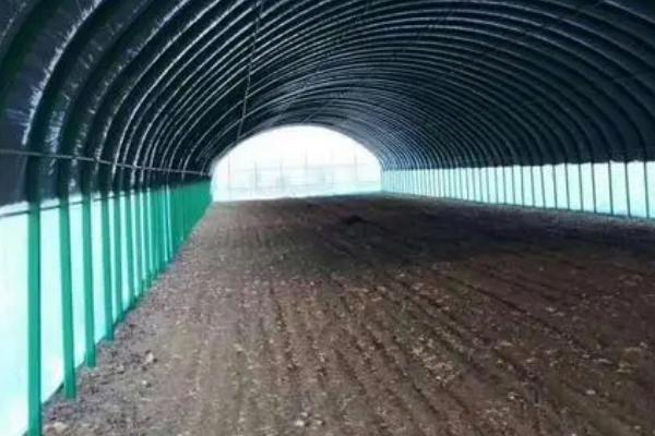 如何建设养羊大棚,用竹条制作顶棚、棚内用铁栅栏隔开羊群