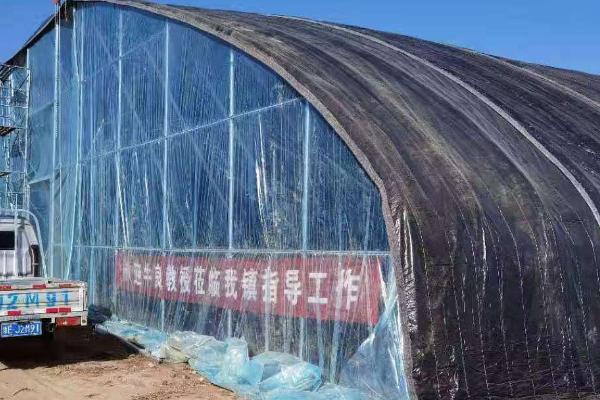 如何建设养羊大棚,用竹条制作顶棚、棚内用铁栅栏隔开羊群