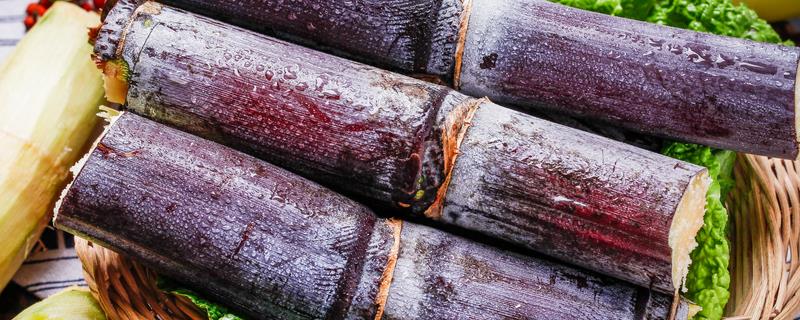 果蔗的需肥特性和施肥方法