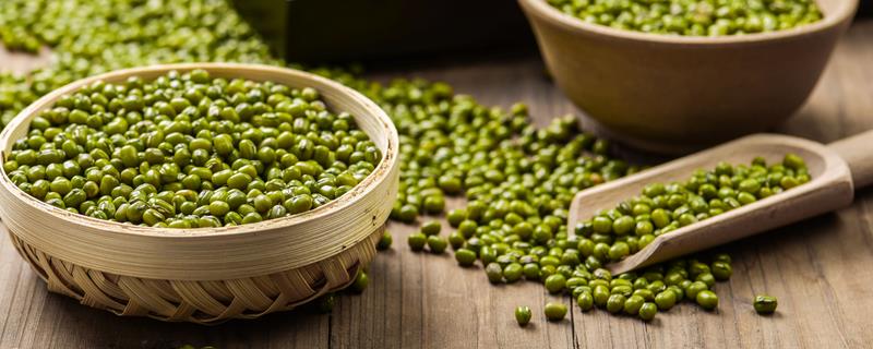 绿豆病虫害怎么防治