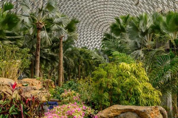 温室植物会出现哪些土传病害,包括瓜类灰霉病、茄果类灰霉病、豆类根腐病等种类