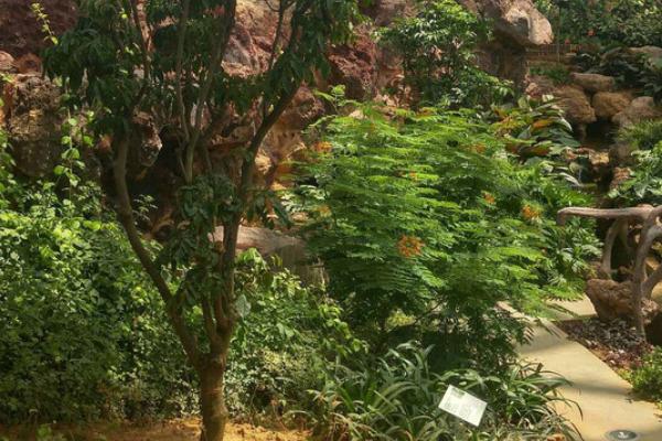 温室植物会出现哪些土传病害,包括瓜类灰霉病、茄果类灰霉病、豆类根腐病等种类