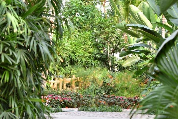 温室植物会出现哪些土传病害,包括瓜类灰霉病、茄果类灰霉病、豆类根腐病等种类