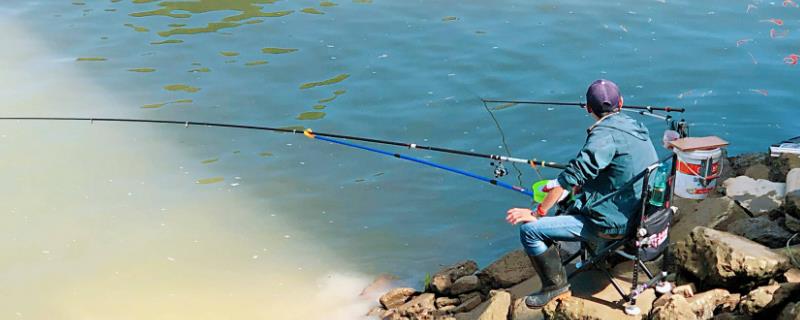 十月份钓鲢鳙钓多深水