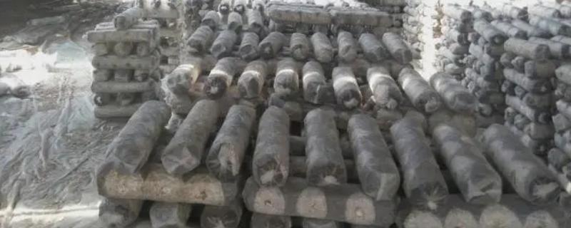 草菇袋式种植方法