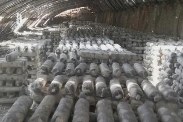 草菇袋式种植方法,对培养料杀菌后再接入菌种