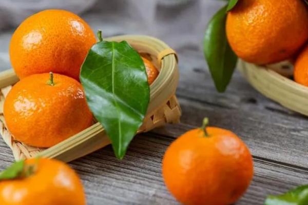 桔子几月份成熟上市,通常在10月以后陆续上市