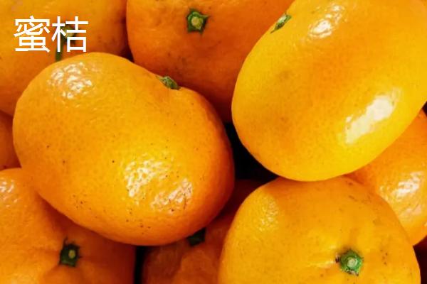 桔子几月份成熟上市,通常在10月以后陆续上市