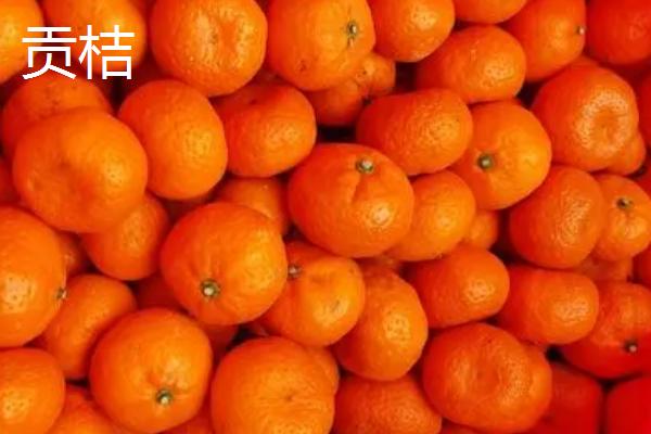 桔子几月份成熟上市,通常在10月以后陆续上市