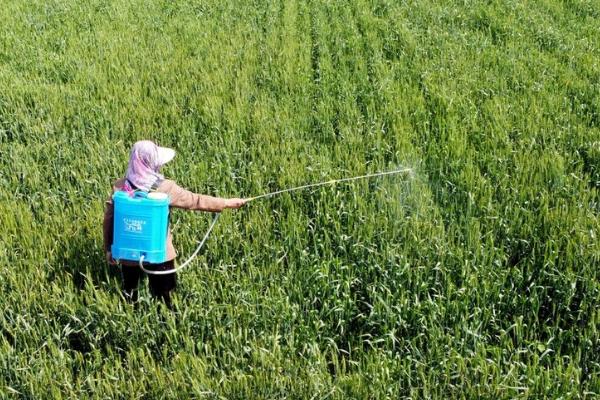 农药科学复配方式,常见这几种