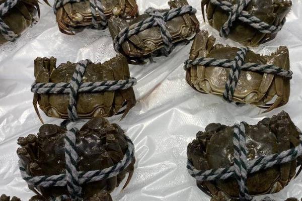 如何鉴别阳澄湖大闸蟹的真假,真品具有蟹壳青灰、甲壳晶莹等特点