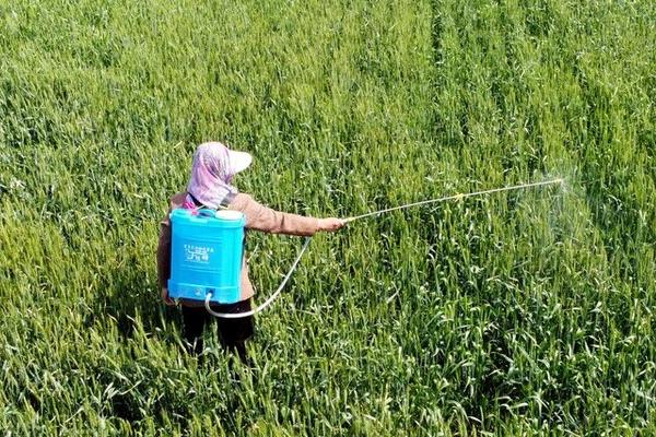 丙草胺有什么作用,可防治禾本科杂草