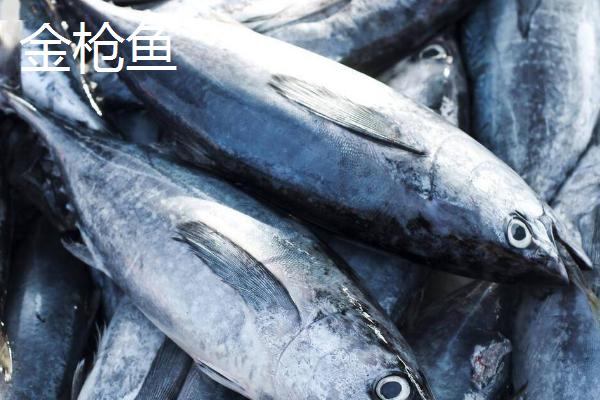 鲣鱼和金枪鱼的区别,口感和外观均不同