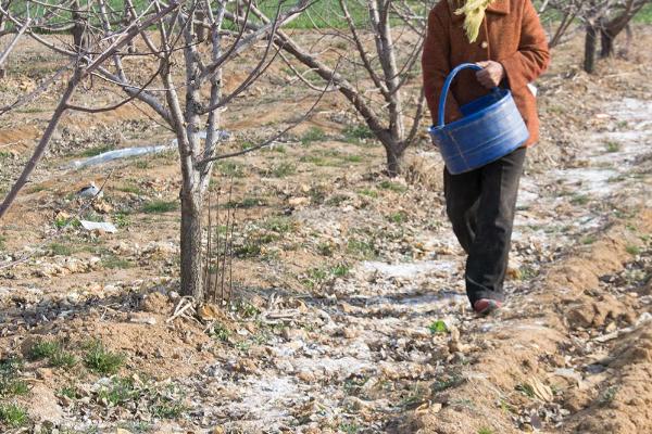 过磷酸钙是什么，主要成分为磷酸二氢钙