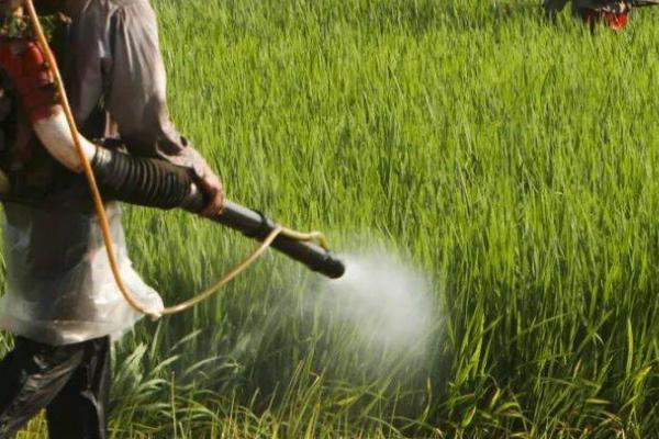 果树夏季喷药禁忌，这四点需谨记