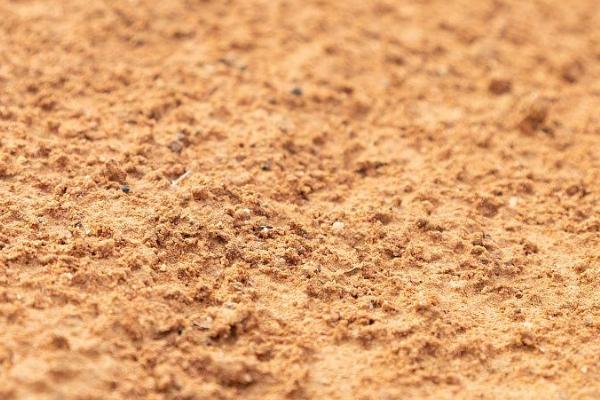 沙质土壤合适种植多肉吗，适合种但需灵活使用