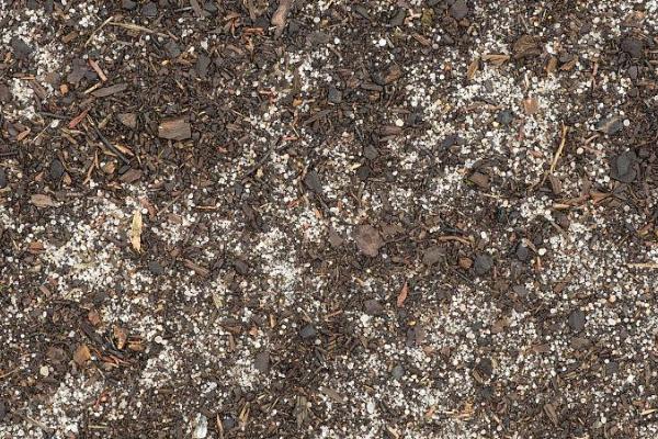 沙质土壤合适种植多肉吗，适合种但需灵活使用