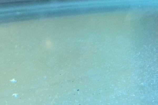 鱼缸为什么出现白毛,一般是因为长出菌膜所导致