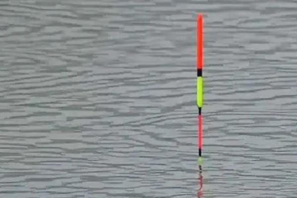 小鱼闹窝应该如何调漂，可适当调低目数