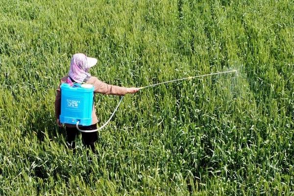 什么除草剂对稗草有特效，包括双草醚、二氯喹啉酸等药物