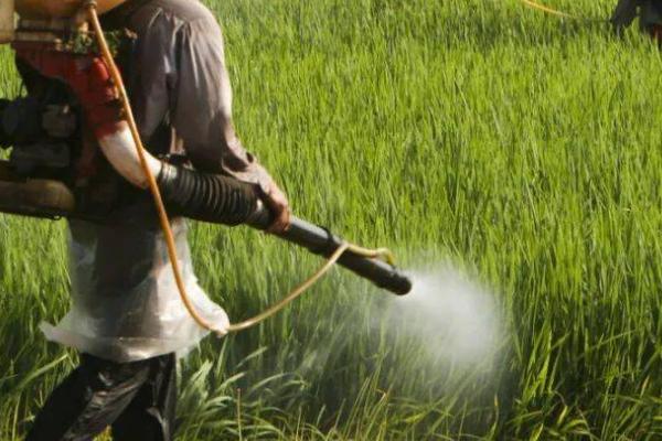 什么除草剂对稗草有特效，包括双草醚、二氯喹啉酸等药物