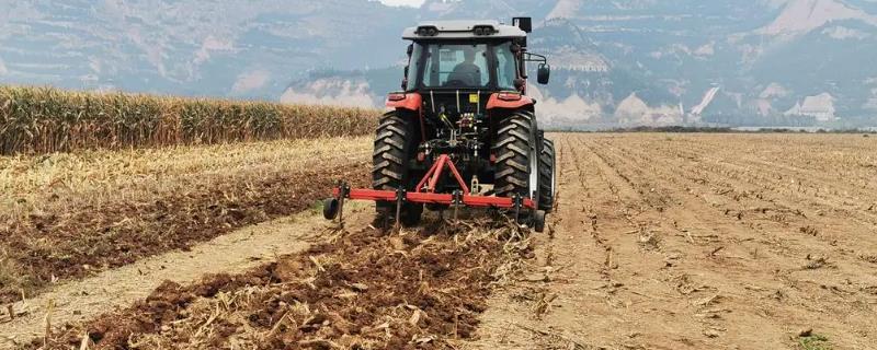 种植玉米怎么整地