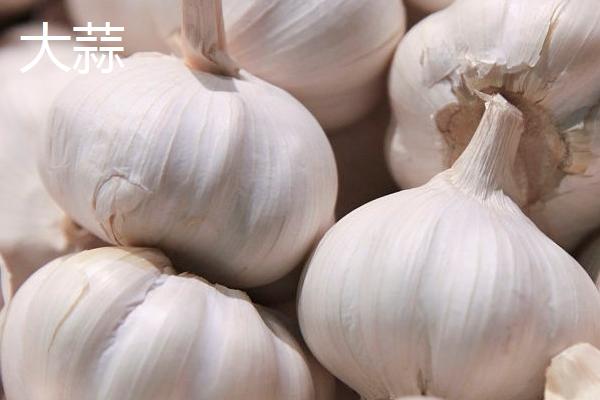 藠头喜阳还是喜阴，光照弱的环境下会生长得更好