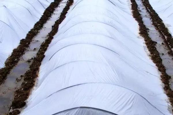 农膜怎么选购，一看、二摸、三拉、四查