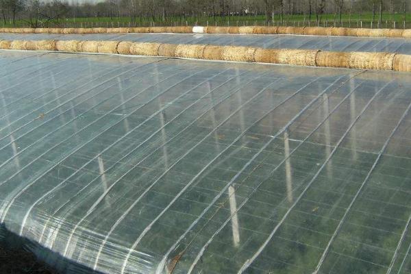 农膜怎么选购，一看、二摸、三拉、四查