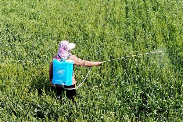 使用吡虫啉的误区，你一定要了解