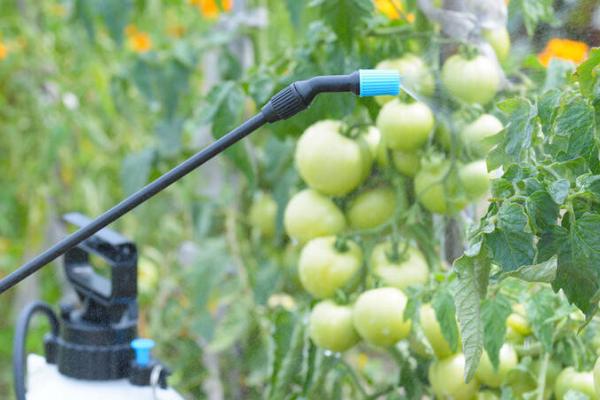 使用吡虫啉的误区，你一定要了解