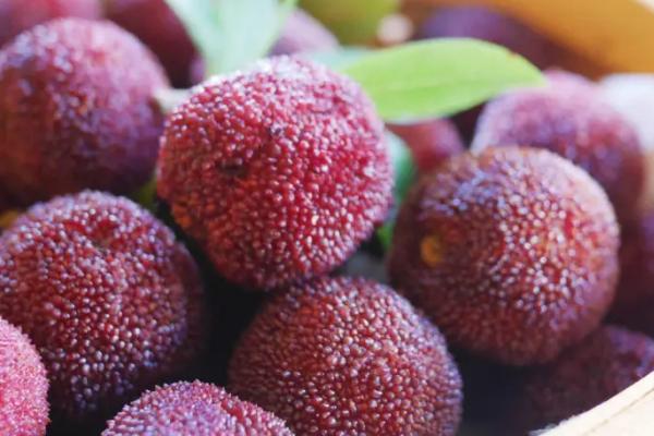 杨梅能放几天，冰箱中冷藏可放3-4天