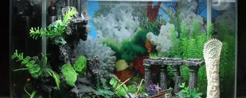 鱼缸水泵老是吸住小鱼怎么办