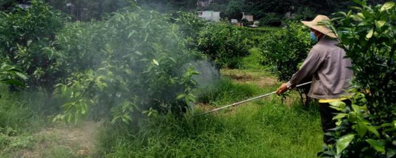 氨基酸肥料的优点