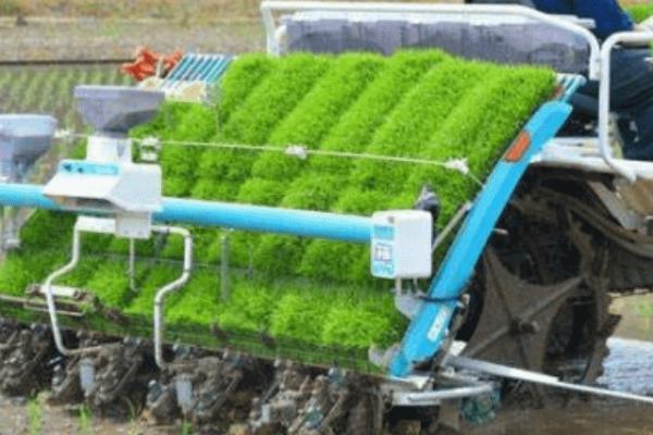 水稻插秧机如何维修保养，需掌握五大技巧