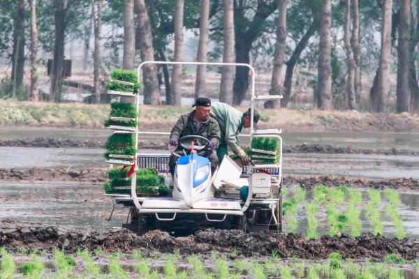 水稻插秧机如何维修保养，需掌握五大技巧