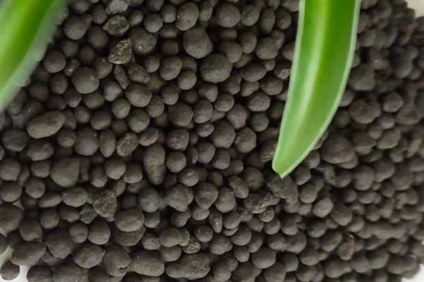 生物菌有机肥的作用，可增进土壤肥力