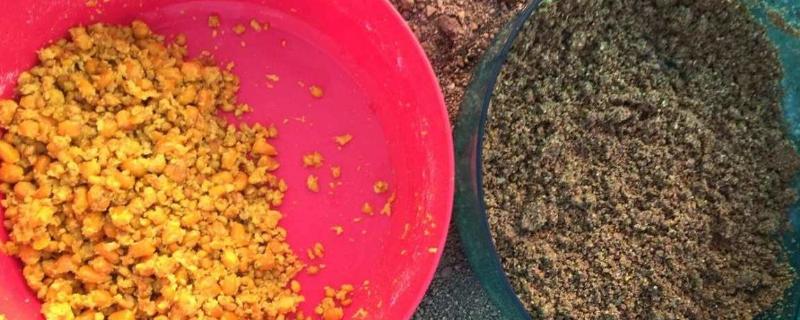 夏天钓鱼用什么味型