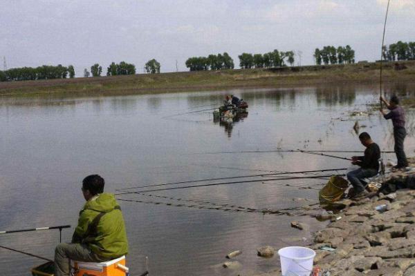 夏天钓鱼用什么味型，清淡的饵料味型用的较多