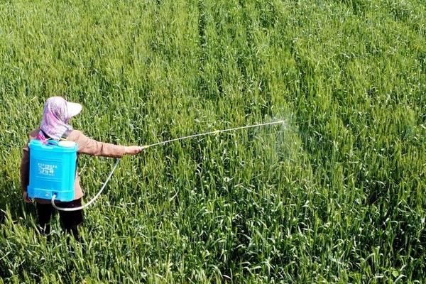 怎么使用福美双，主要用法是拌种、喷雾