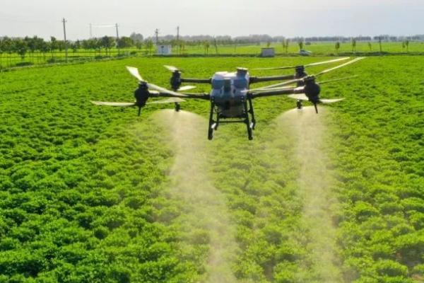 敌百松的用途，是保护性剂也可做处理剂