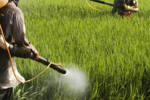 敌百松的用途，是保护性剂也可做处理剂