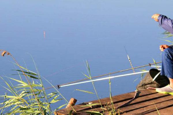 夏钓鲢鳙用什么味型的鱼饵,使用酸臭味饵料比较合适