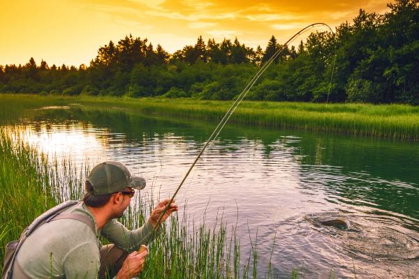 土鲮鱼怎么钓，发现送漂和抖漂等信号时、经过2-3秒再提竿