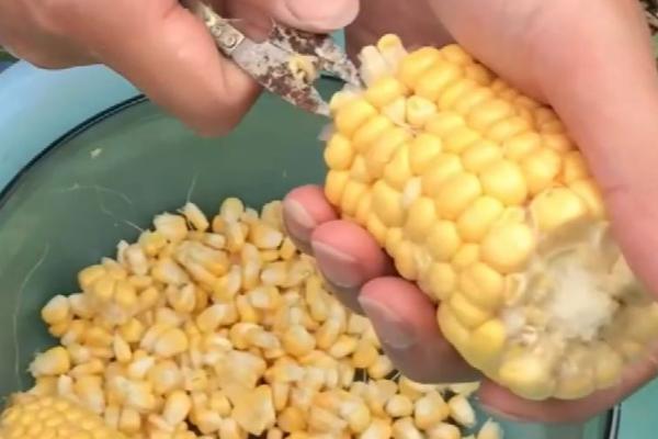 用玉米垂钓的效果，使用效果较好、容易吸引鱼儿