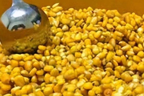 用玉米垂钓的效果，使用效果较好、容易吸引鱼儿