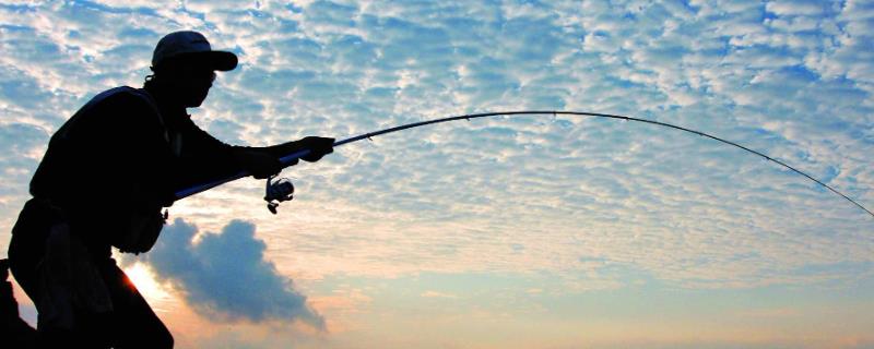 怎么使用手竿垂钓鲈鱼