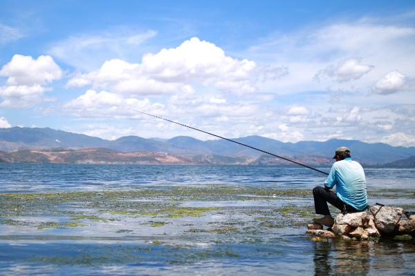 怎么使用手竿垂钓鲈鱼，需选择水流较急、小鱼较多的地方作为钓点